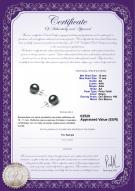  Certificado de producto: TAH-B-AA-1011-E