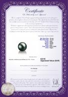  Certificado de producto: TAH-B-AAA-1213-L1