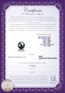  Certificado de producto: TAH-B-AAA-89-L1